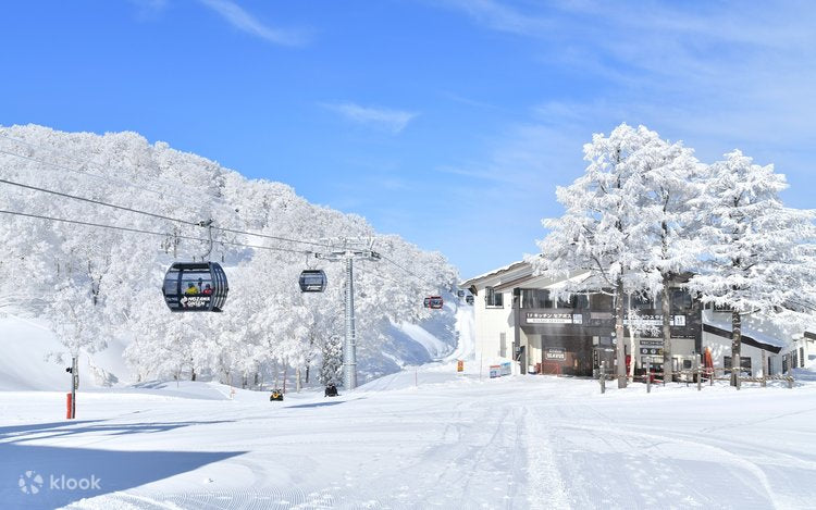Historic Charm and Endless Powder: Why Skiing Nozawa Onsen Belongs on Your Bucket List